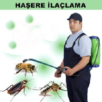 Sivaslı Böcek İlaçlama